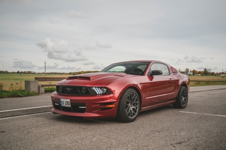 Pilt esemest 'Ford Mustang Shelby'.