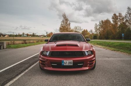 Pilt esemest 'Ford Mustang Shelby'.