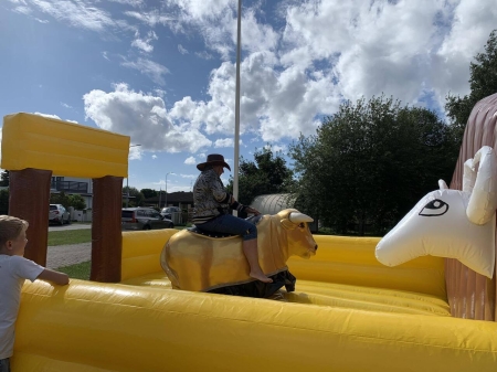 Pilt tootest 'Rodeo Härg Pedro'.