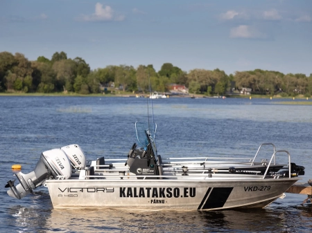 Kaater Steel Shark 1